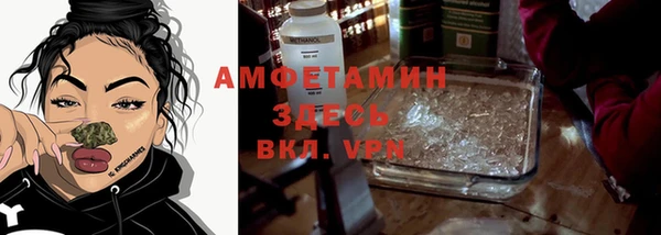 стафф Заводоуковск