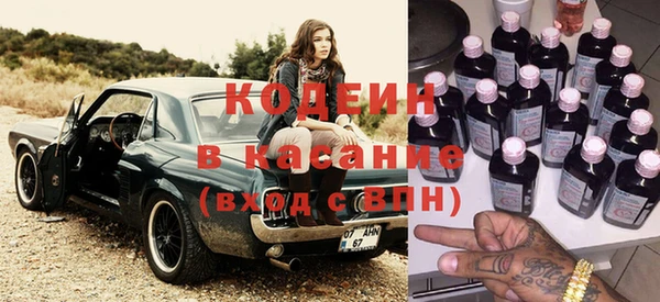стафф Заводоуковск