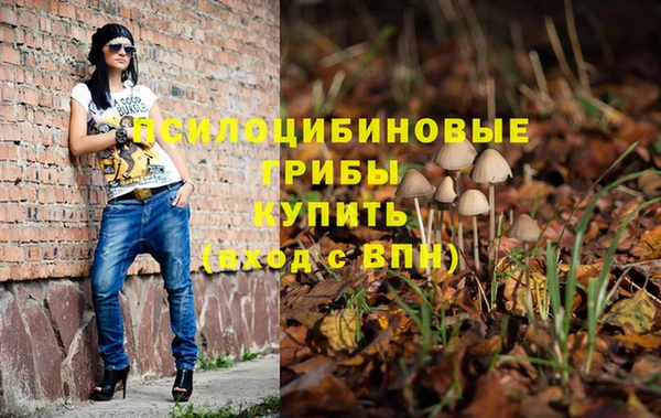 стафф Заводоуковск