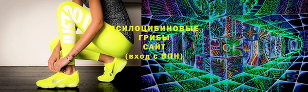 стафф Заводоуковск