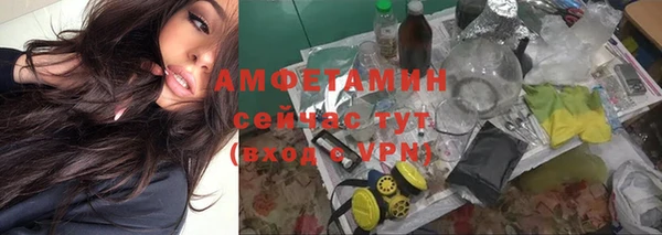 стафф Заводоуковск